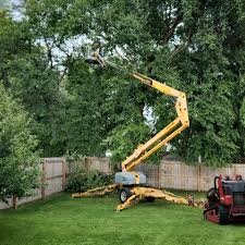 Professional Tree Removal in Hurleyville, NY